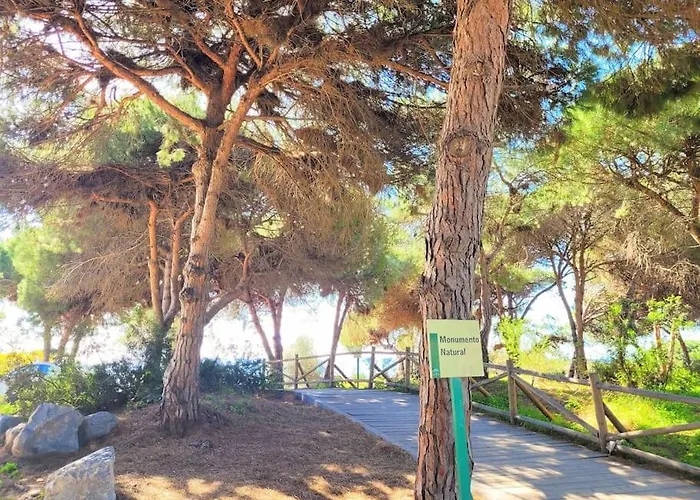 Cabopino 3 Bedroom - Ocean Views - Pool - Terrace شقة ماربيا